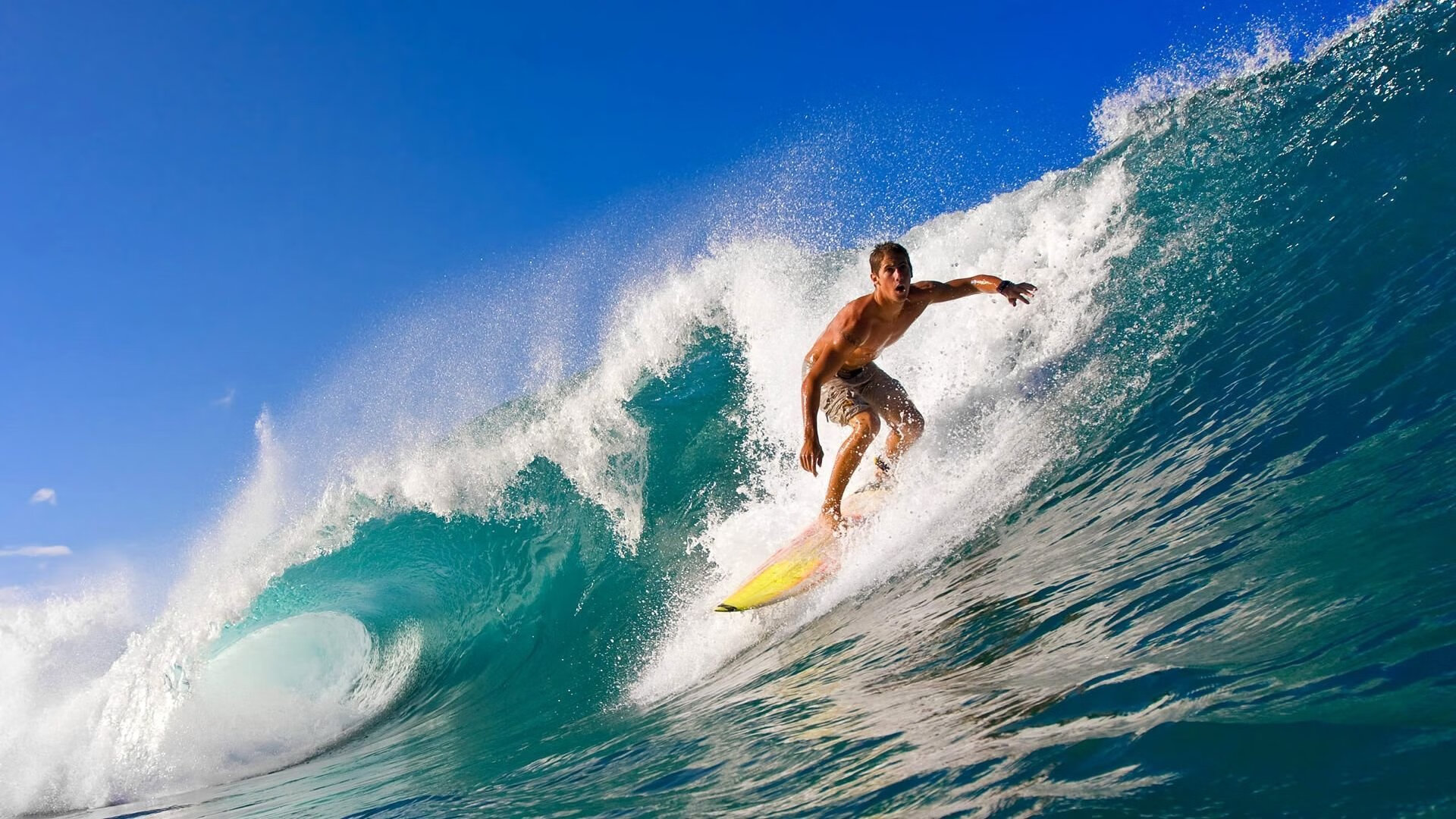 奥运村志愿者培训增设多语服务模块，奥运村志愿者干什么